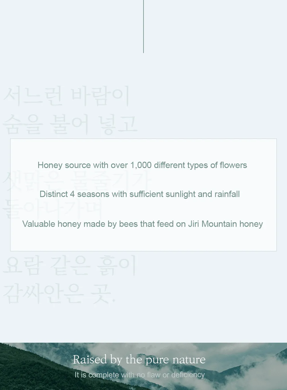 Honey Serum (30ml)