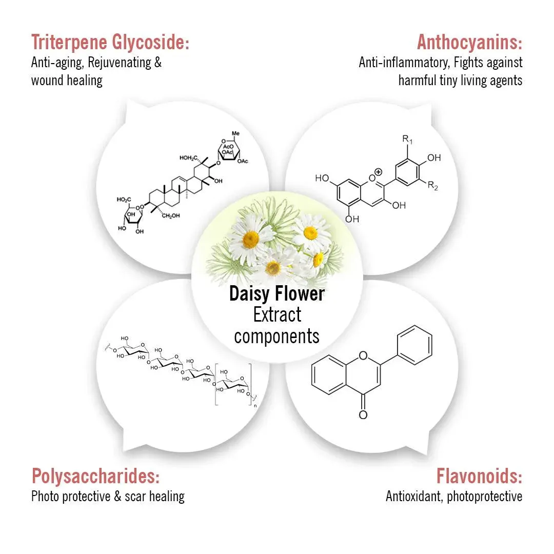 Skin Lightening Spot Serum, Daisy Flower   Alpha Arbutin   Mulberry Root, Dark Spots & Brightening, Hyperpigmentation, with Sodium Ascorbyl Phosphate