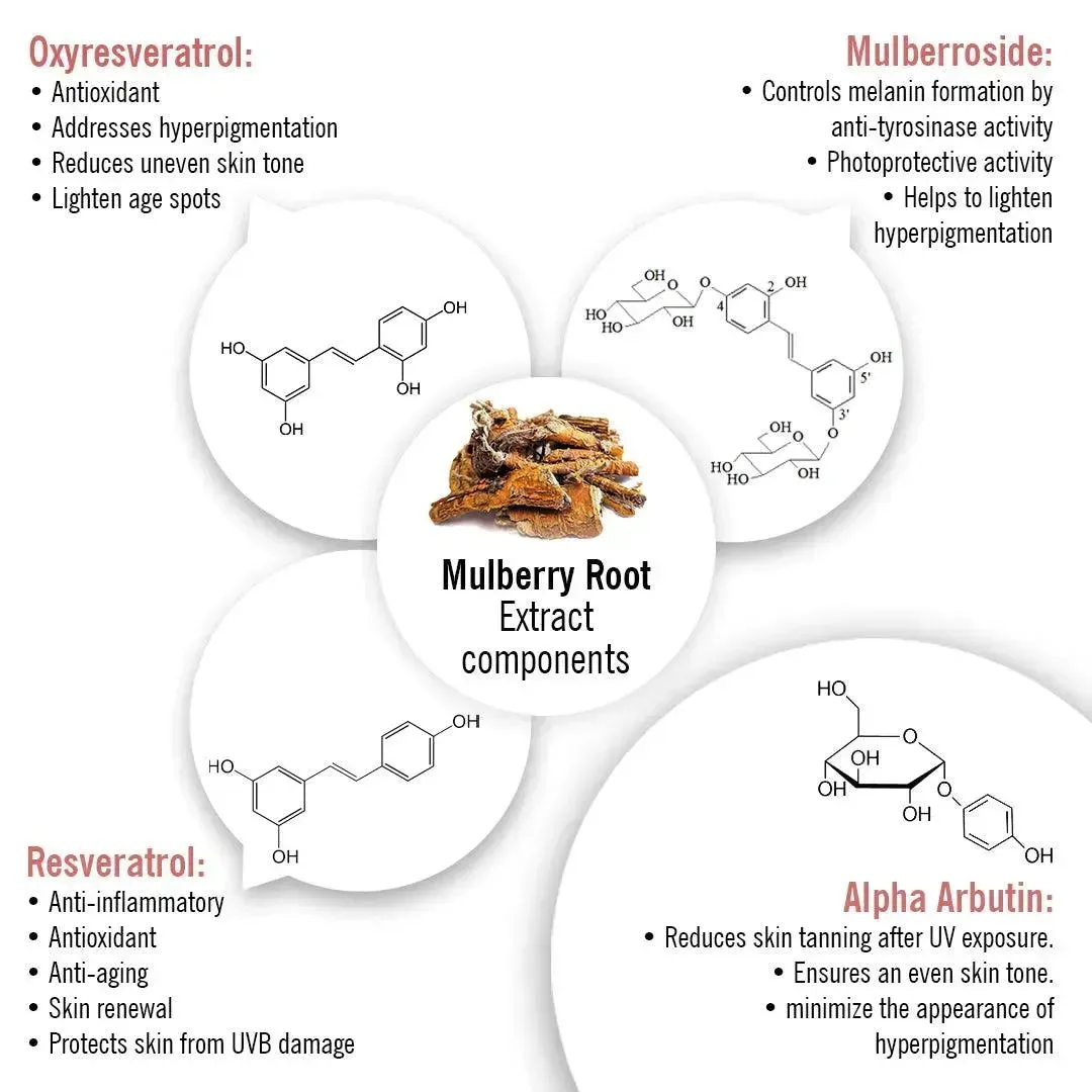 Skin Lightening Spot Serum, Daisy Flower   Alpha Arbutin   Mulberry Root, Dark Spots & Brightening, Hyperpigmentation, with Sodium Ascorbyl Phosphate