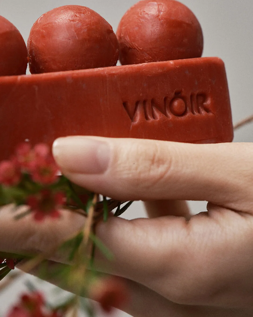 Vinoir Decanting Cleansing Bar | Il Labirinto